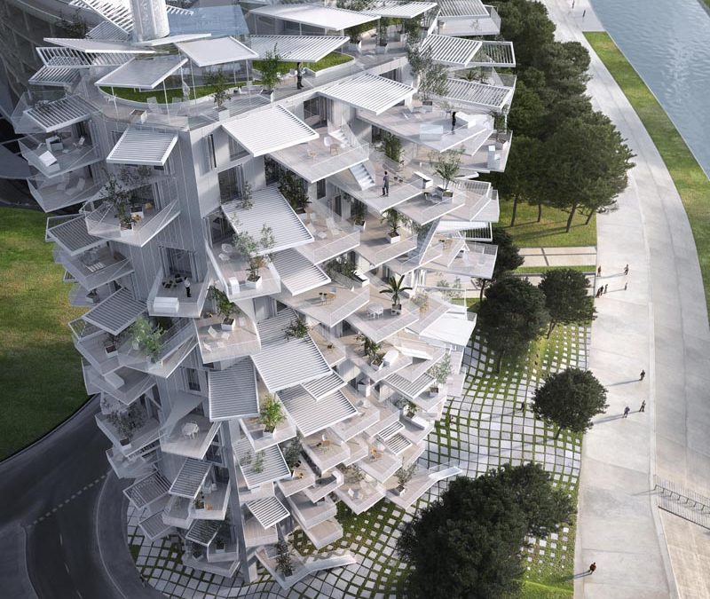 L’arbre blanc, Montpellier