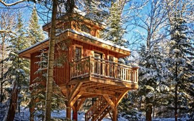 Cabane dans les arbres : souvenir d’enfance ou nouveau mode de logement ?