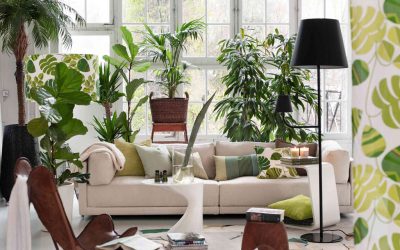 Aménagement de la maison Feng Shui : calculer son chiffre Kua ou Ming Gua