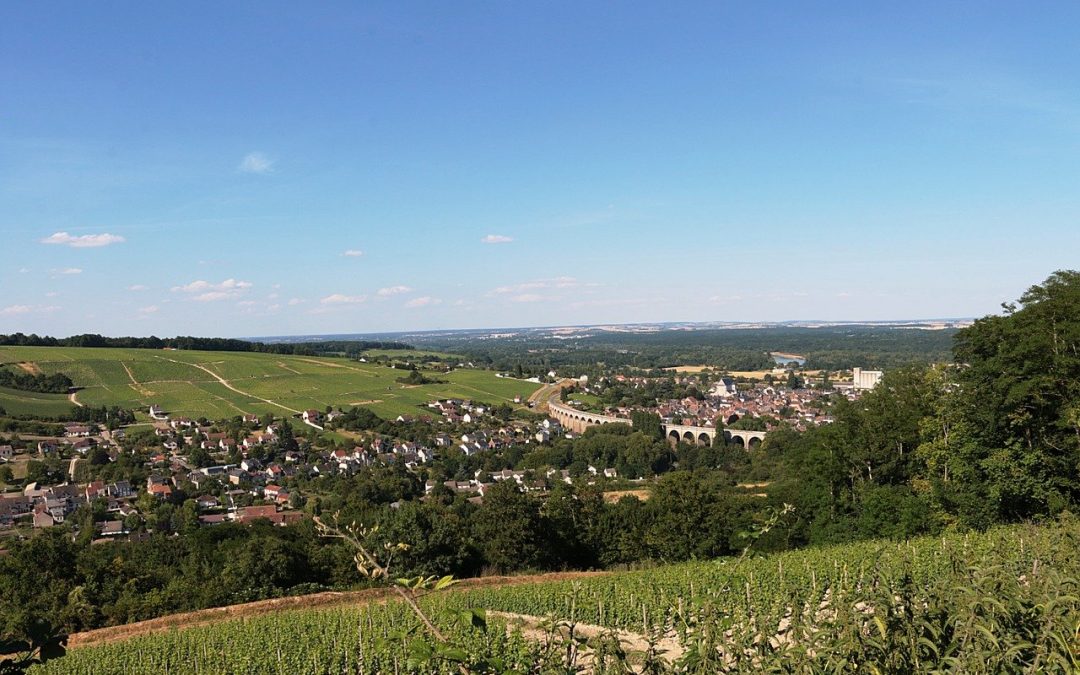 Pourquoi acheter une propriété viticole en Vallée de la Loire ?
