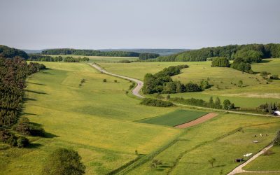 Combien coûte une division parcellaire ?