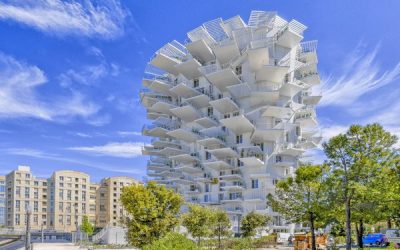 Avis sur l’Arbre Blanc de Montpellier : un restaurant plébiscité