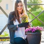 plante à mettre sur une terrasse