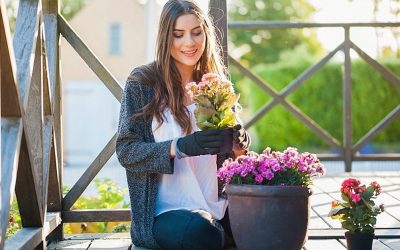 Quelle plante mettre sur une terrasse ?