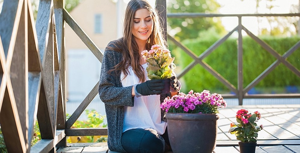 Quelle plante mettre sur une terrasse ?