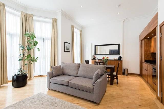Location meublée non professionnelle